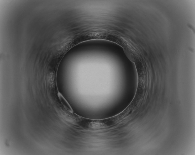 X0000091570605200708271200