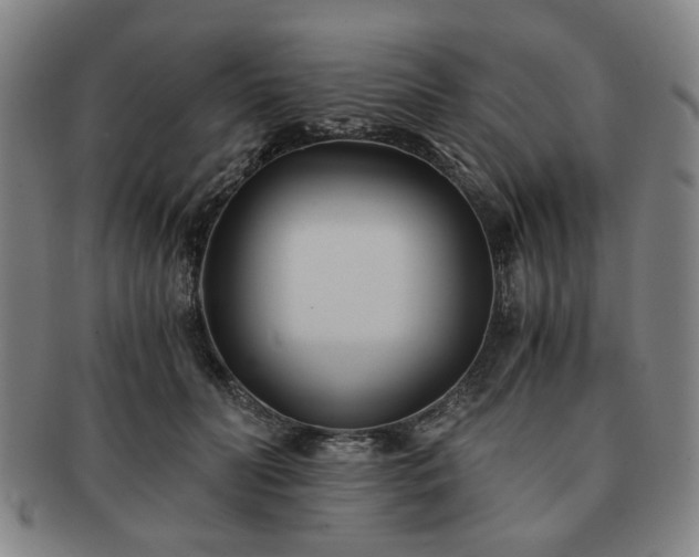 X0000091570606200708271200