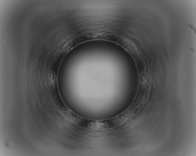 X0000091570607200708271200