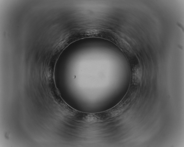 X0000091570608200708271200