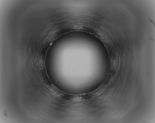 X0000091570609200708271200