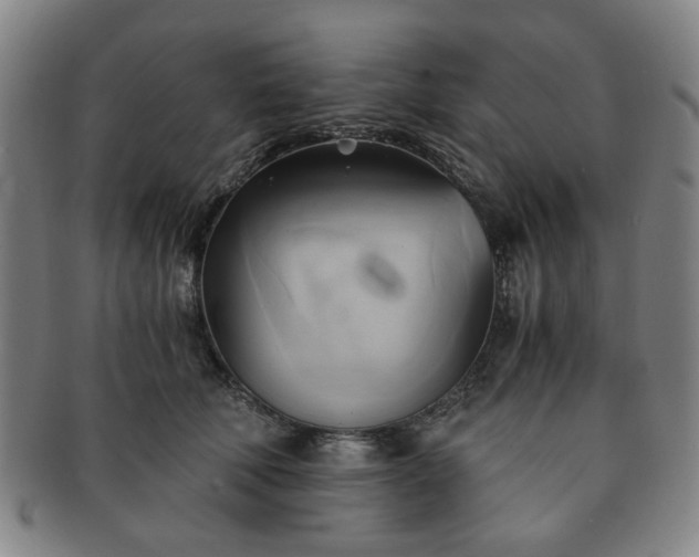 X0000091570610200708271200