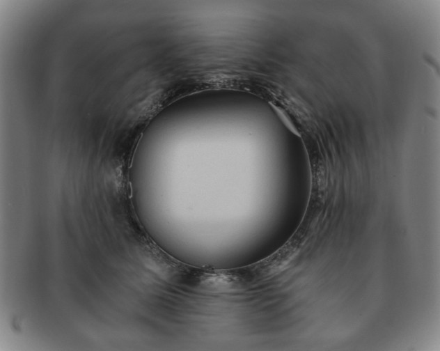 X0000091570611200708271200
