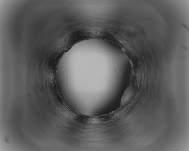 X0000091570613200708271200