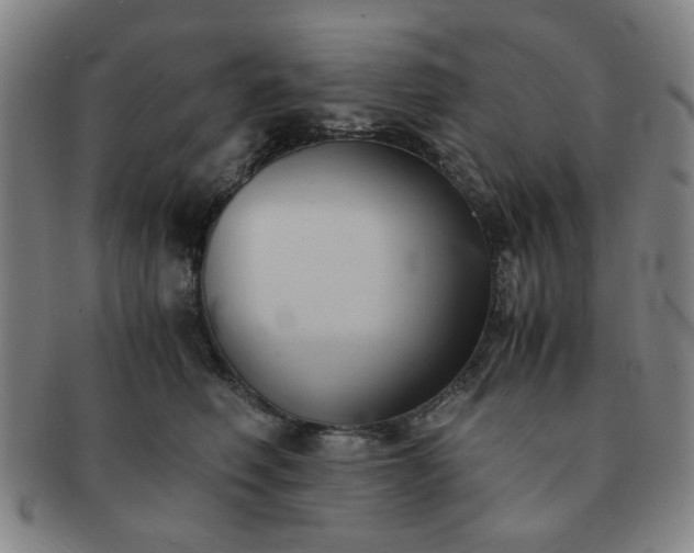X0000091570614200708271200