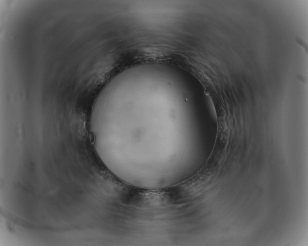 X0000091570615200708271200