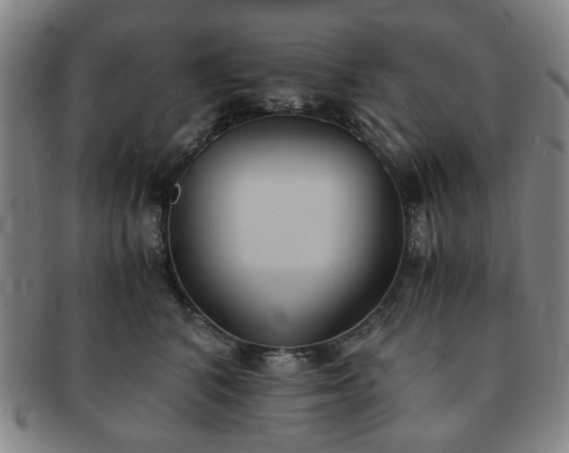 X0000091570616200708271200