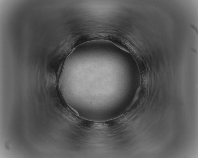 X0000091570617200708271200