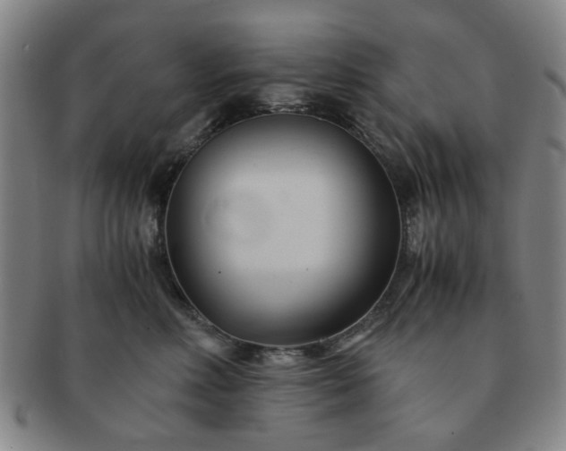 X0000091570618200708271200