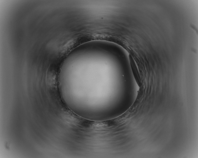 X0000091570619200708271200