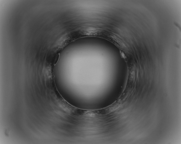 X0000091570620200708271200