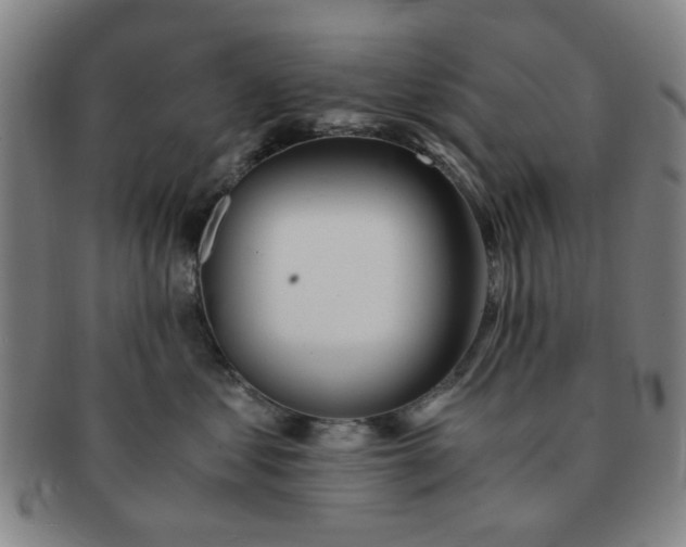 X0000091570621200708271200