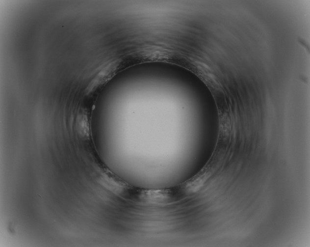 X0000091570622200708271200