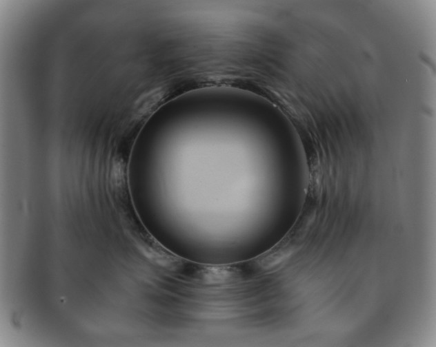 X0000091570623200708271200