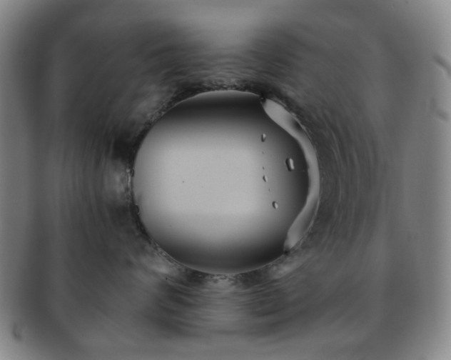 X0000091570624200708271159