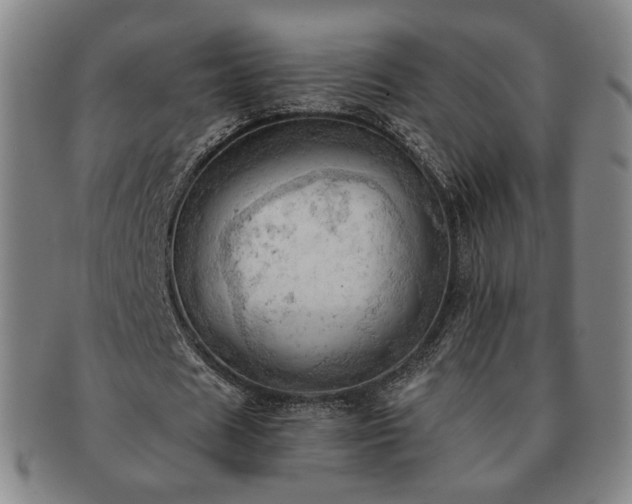 X0000091570625200708271159