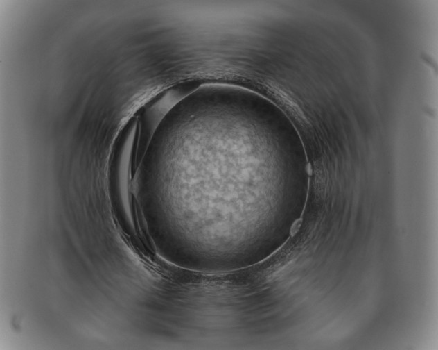 X0000091570626200708271159