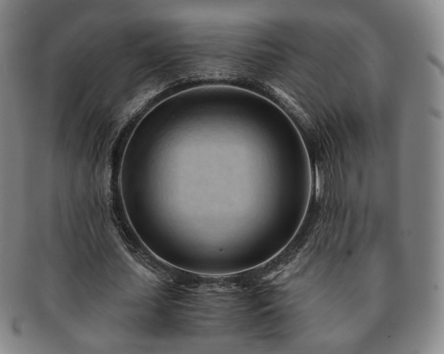 X0000091570627200708271159