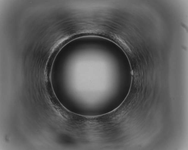 X0000091570628200708271159