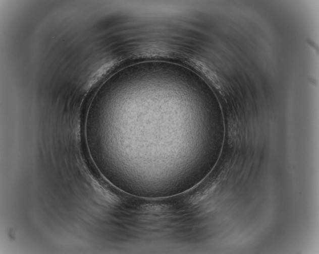 X0000091570629200708271159