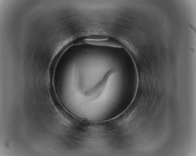 X0000091570630200708271159