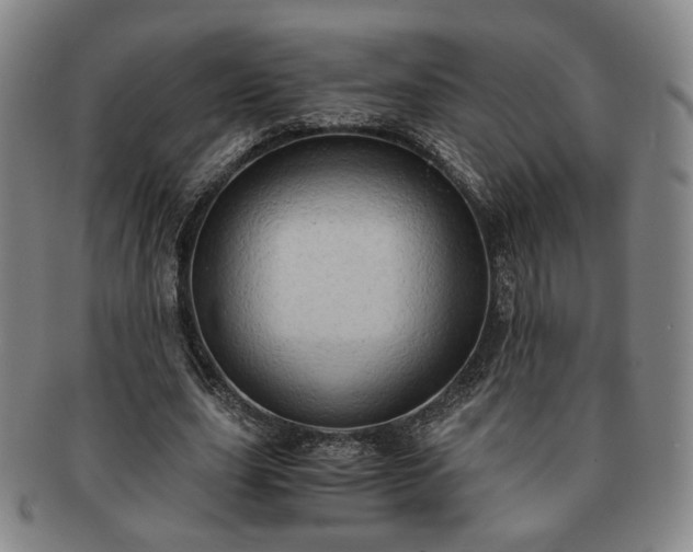 X0000091570631200708271159