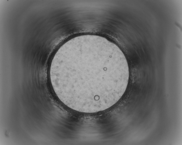 X0000091570632200708271159