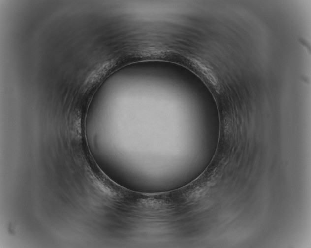 X0000091570633200708271159