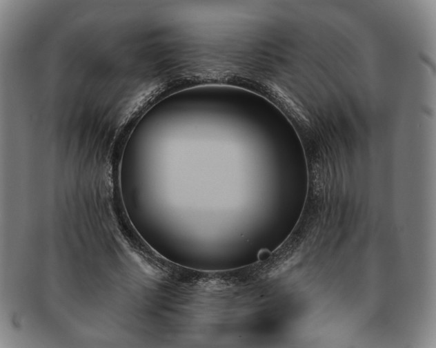 X0000091570634200708271159