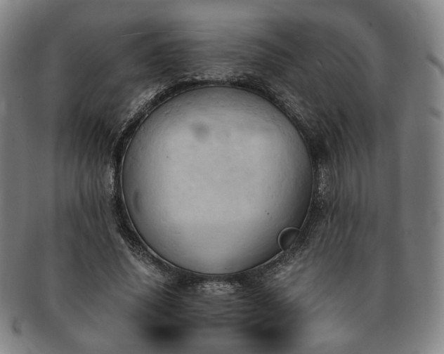 X0000091570636200708271159