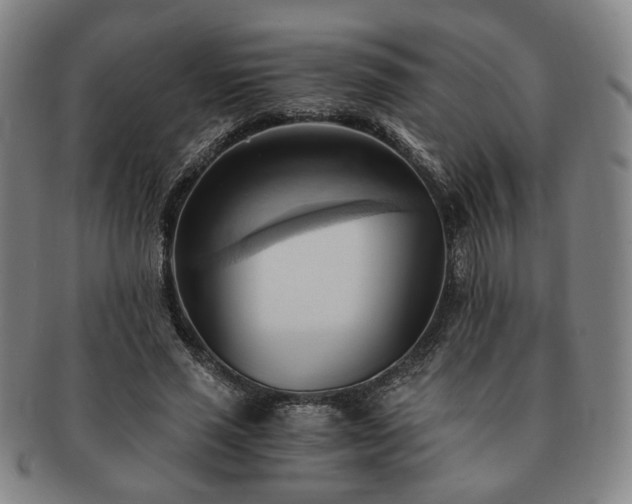 X0000091570637200708271159