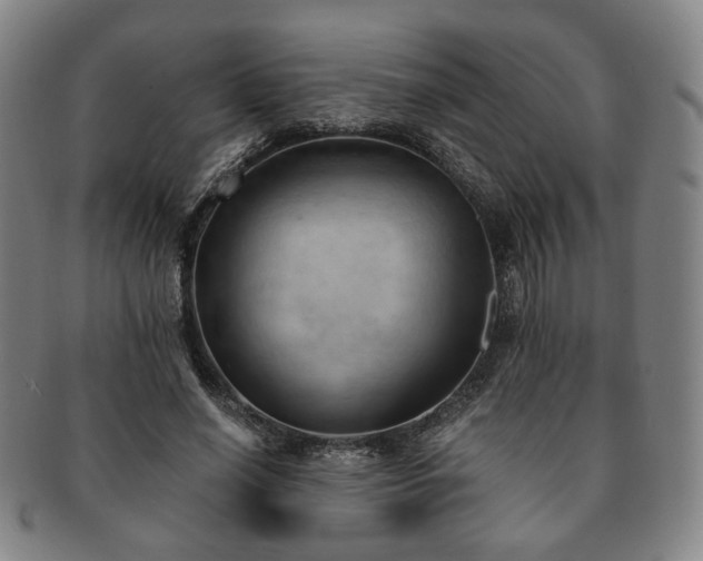 X0000091570638200708271159