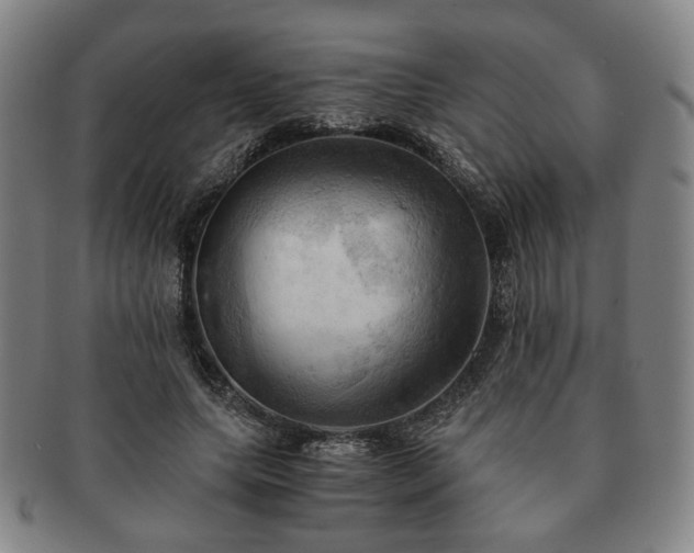 X0000091570639200708271159