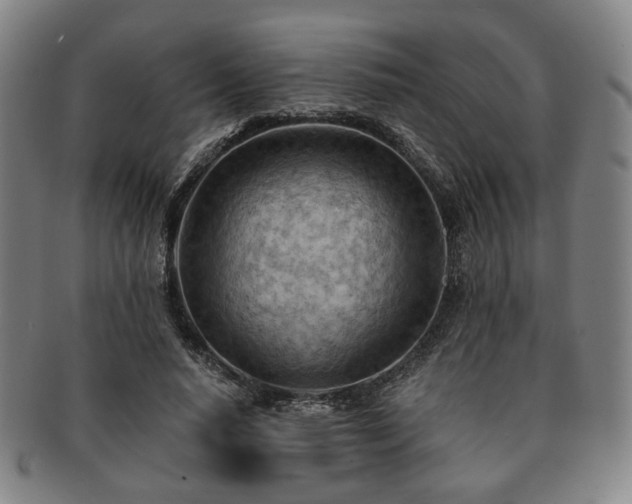 X0000091570640200708271159