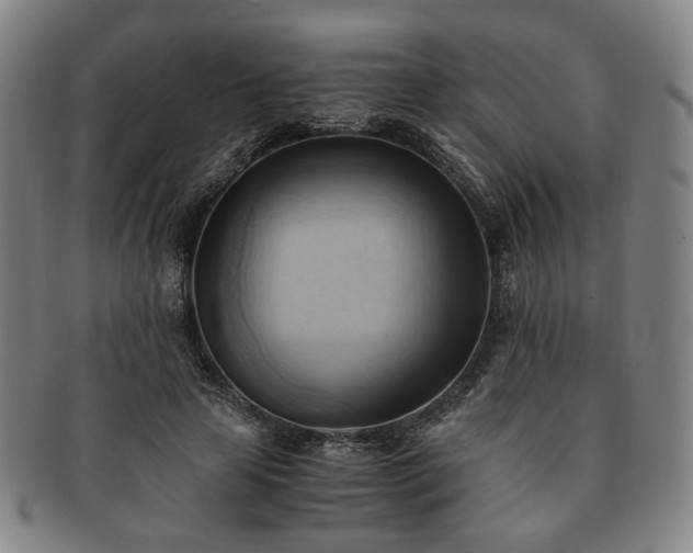 X0000091570641200708271159