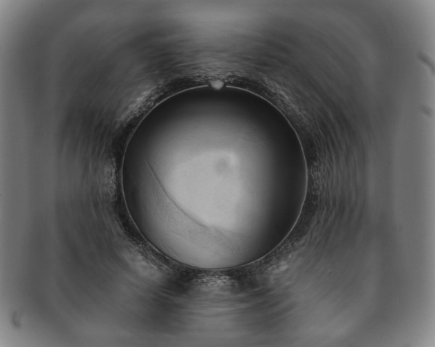X0000091570642200708271159