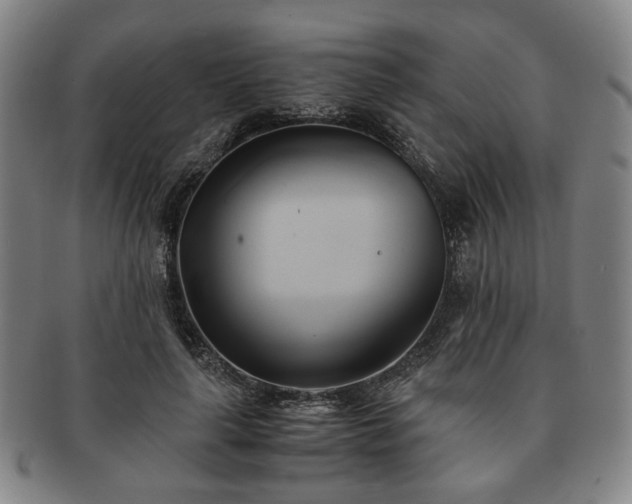 X0000091570643200708271159