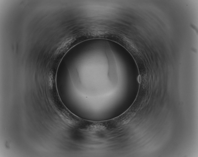 X0000091570644200708271159