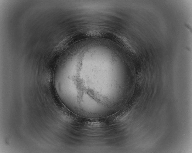 X0000091570645200708271159
