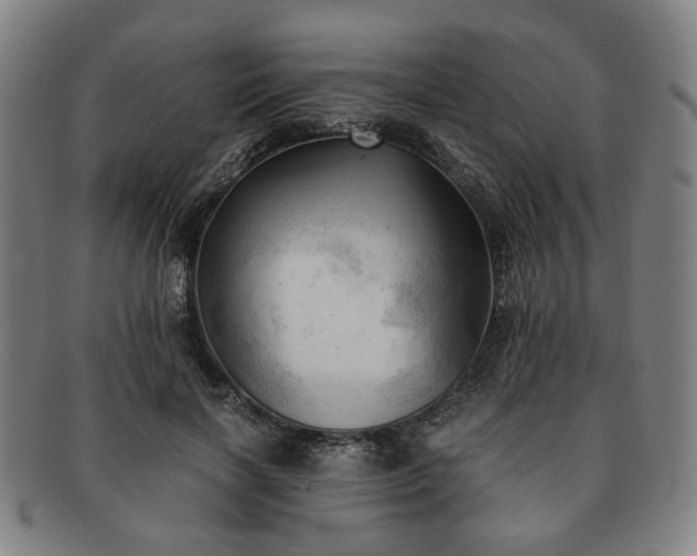X0000091570646200708271159
