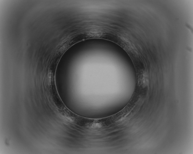 X0000091570647200708271159