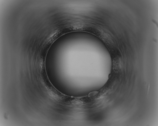 X0000091570648200708271159