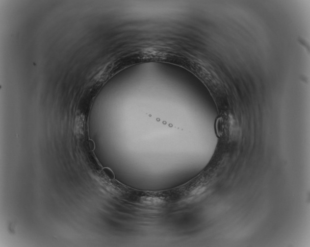 X0000091570649200708271159