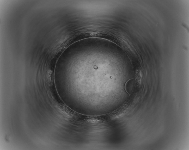 X0000091570650200708271159