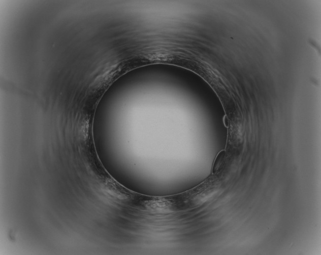 X0000091570652200708271159