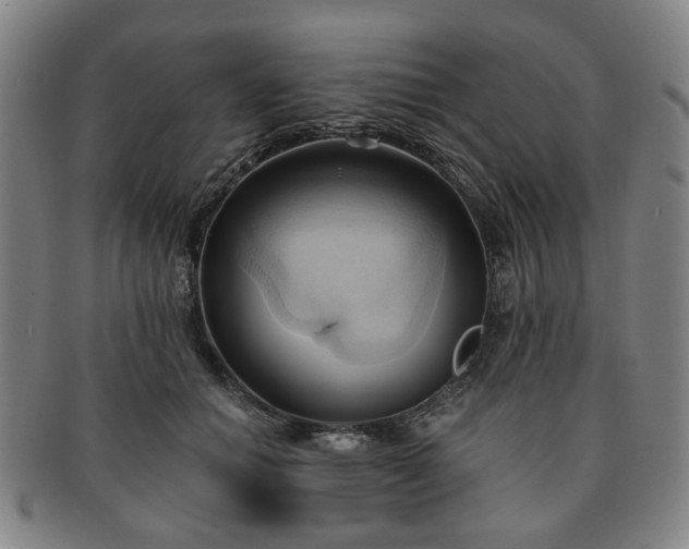 X0000091570654200708271159
