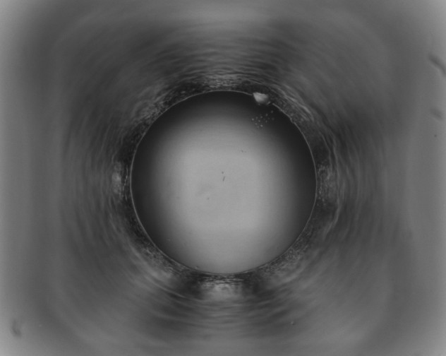 X0000091570655200708271159