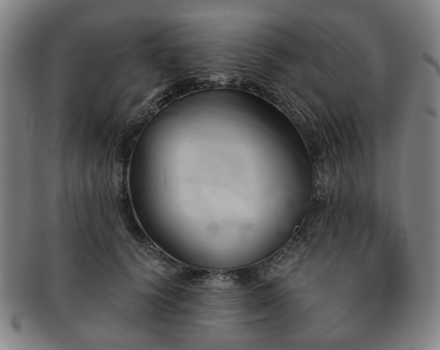X0000091570656200708271159