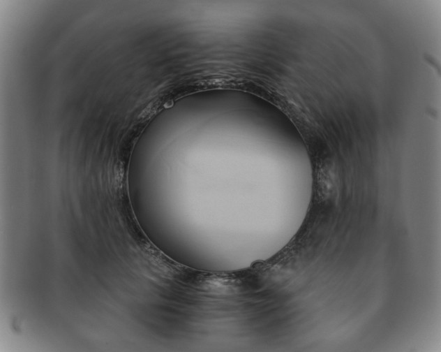 X0000091570657200708271159