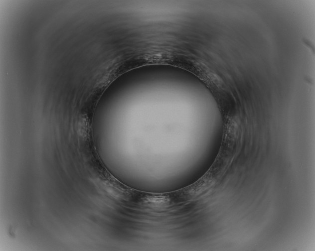 X0000091570659200708271159